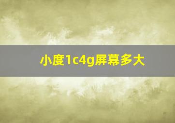 小度1c4g屏幕多大