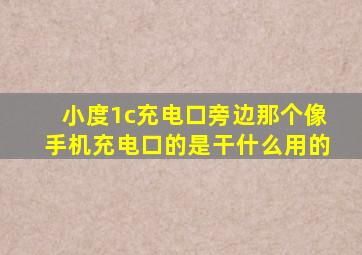 小度1c充电口旁边那个像手机充电口的是干什么用的