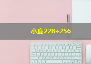 小度228+256