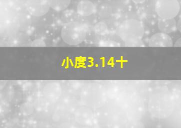 小度3.14十