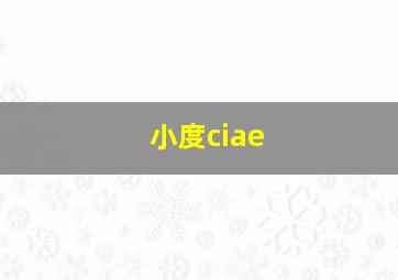 小度ciae