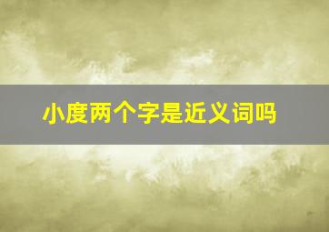 小度两个字是近义词吗