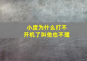 小度为什么打不开机了叫他也不理