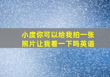 小度你可以给我拍一张照片让我看一下吗英语