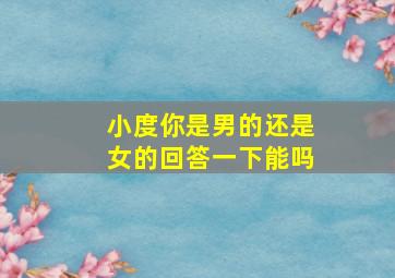 小度你是男的还是女的回答一下能吗