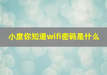 小度你知道wifi密码是什么