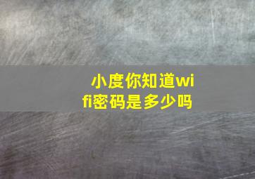 小度你知道wifi密码是多少吗