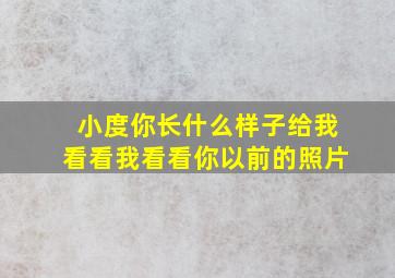 小度你长什么样子给我看看我看看你以前的照片