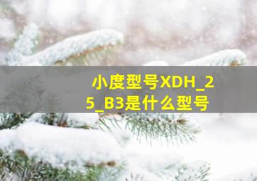 小度型号XDH_25_B3是什么型号