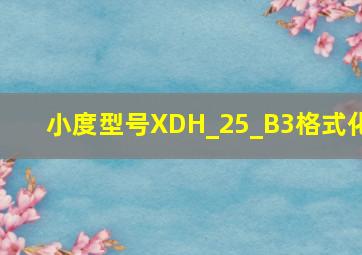 小度型号XDH_25_B3格式化