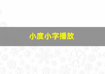 小度小字播放