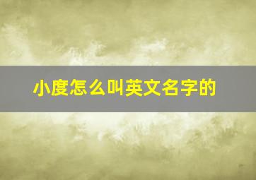 小度怎么叫英文名字的