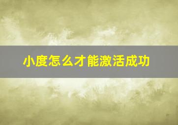 小度怎么才能激活成功