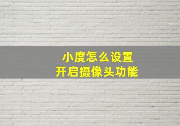 小度怎么设置开启摄像头功能