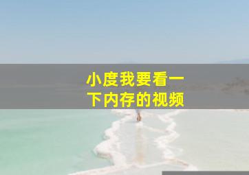 小度我要看一下内存的视频