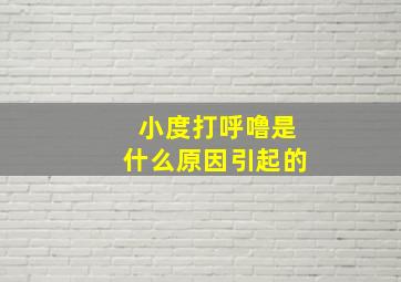 小度打呼噜是什么原因引起的