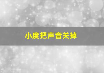 小度把声音关掉