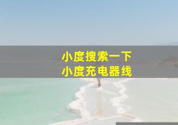 小度搜索一下小度充电器线