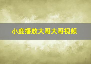 小度播放大哥大哥视频