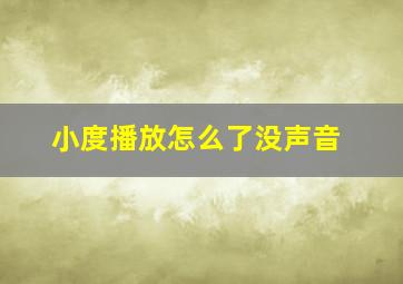 小度播放怎么了没声音