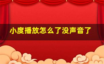 小度播放怎么了没声音了