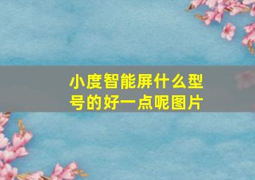 小度智能屏什么型号的好一点呢图片