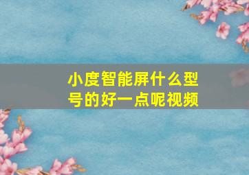 小度智能屏什么型号的好一点呢视频