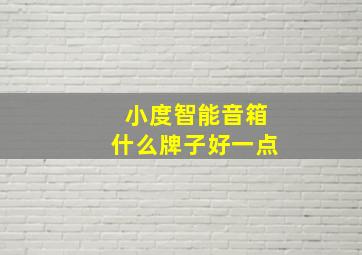 小度智能音箱什么牌子好一点