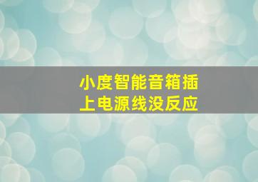 小度智能音箱插上电源线没反应