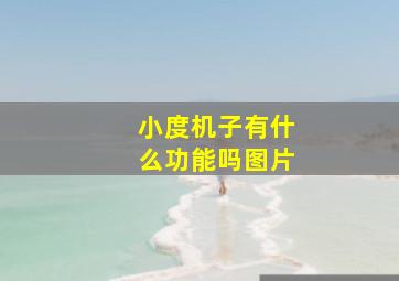 小度机子有什么功能吗图片