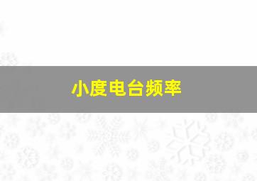 小度电台频率