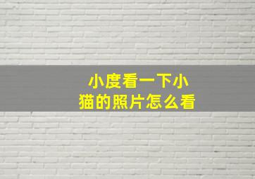 小度看一下小猫的照片怎么看