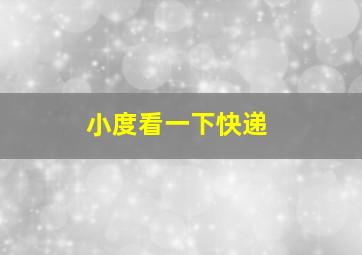 小度看一下快递