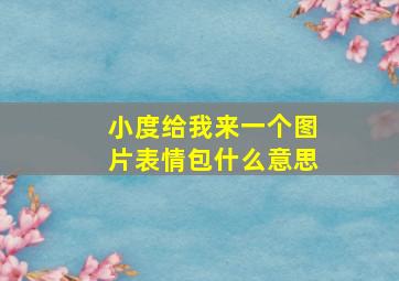 小度给我来一个图片表情包什么意思