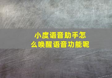 小度语音助手怎么唤醒语音功能呢