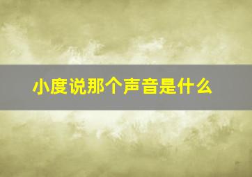 小度说那个声音是什么