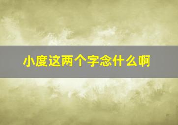 小度这两个字念什么啊