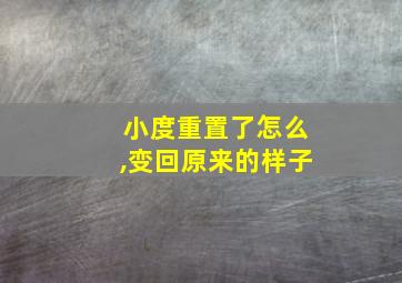 小度重置了怎么,变回原来的样子