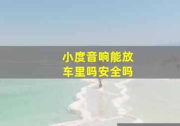 小度音响能放车里吗安全吗