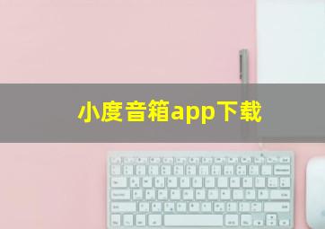 小度音箱app下载