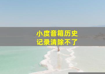 小度音箱历史记录清除不了