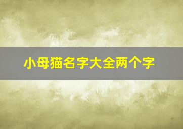 小母猫名字大全两个字