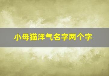 小母猫洋气名字两个字