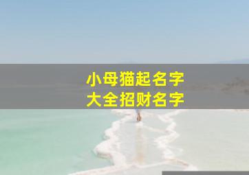 小母猫起名字大全招财名字