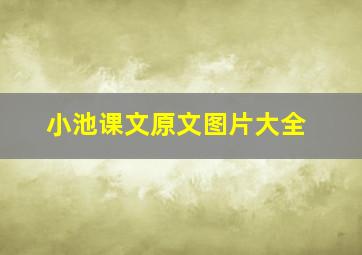 小池课文原文图片大全