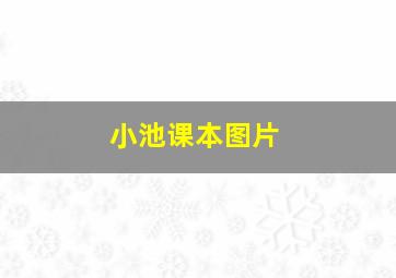 小池课本图片