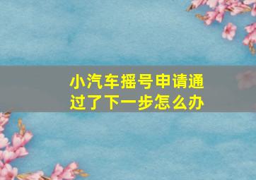 小汽车摇号申请通过了下一步怎么办