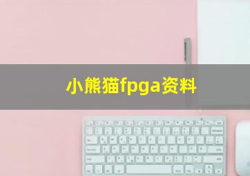 小熊猫fpga资料