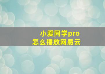 小爱同学pro怎么播放网易云