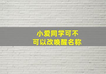 小爱同学可不可以改唤醒名称